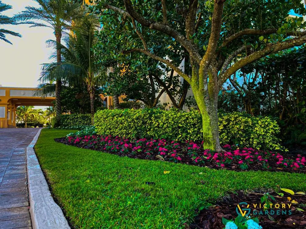 Custom yard maintenance in West Palm Beach, FL - Victory Gardens