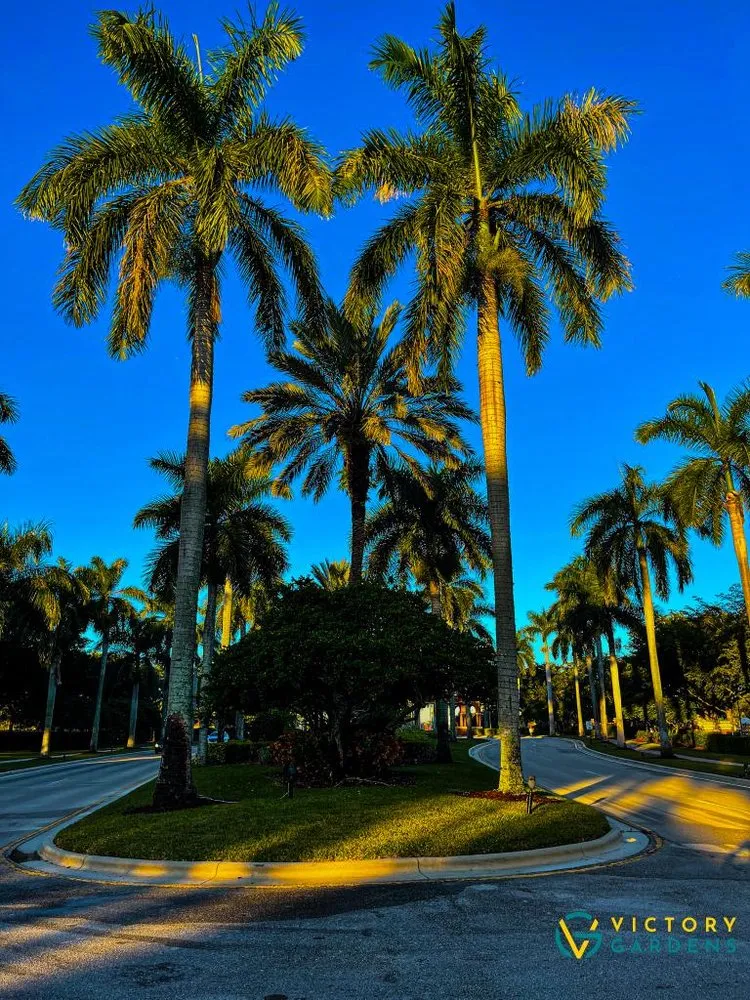 Custom yard cleanup service for residential properties across West Palm Beach, FL - Victory Gardens