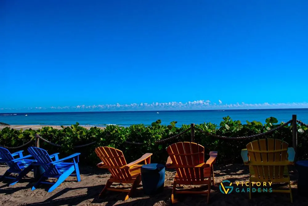 Expert lawn mowing service in West Palm Beach, FL by Victory Gardens