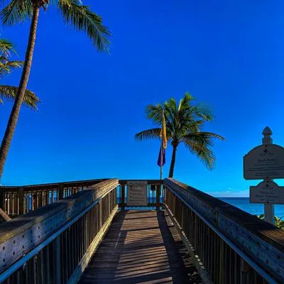 Victory Gardens Logo