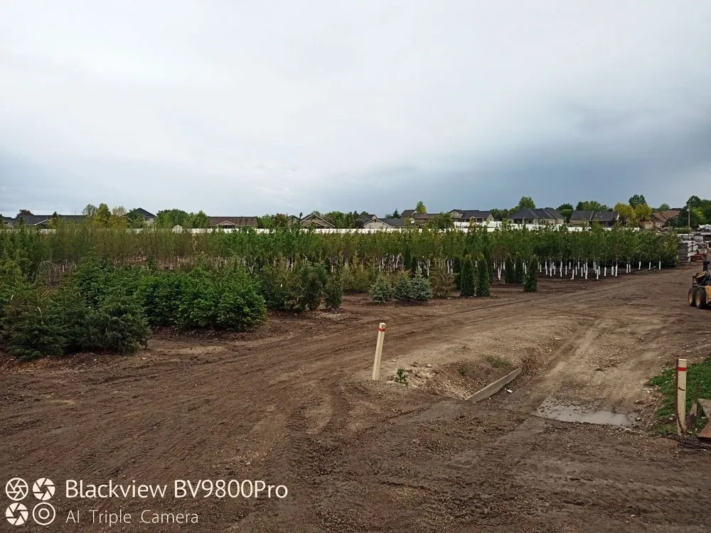 Custom lawn care service experts serving Meridian, ID - Victory Greens