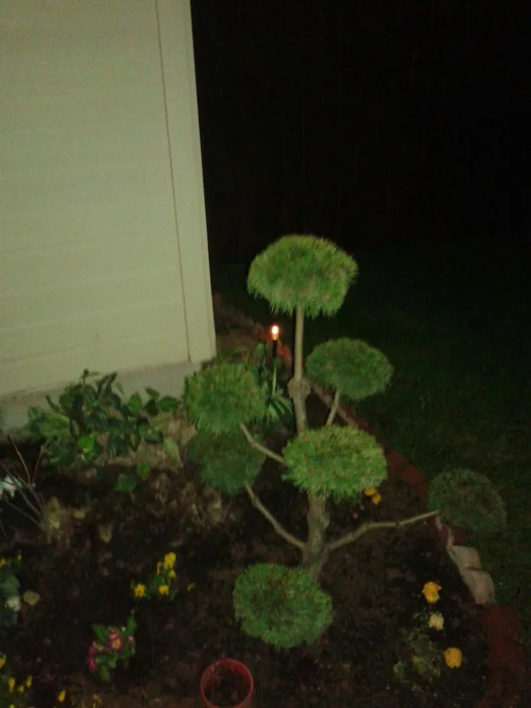 Professional outdoor landscaping with custom design in Meridian, ID by Victory Greens