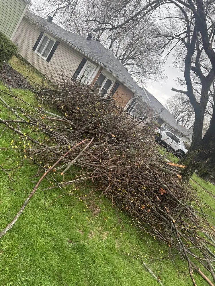 Expert landscaping services experts serving Daleville, IN - Victory Hauling & Junk Removal