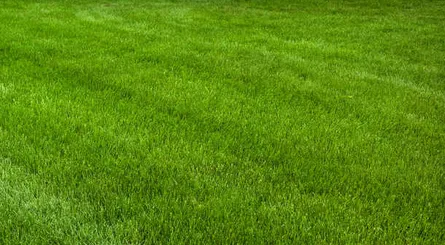 Expert landscape design experts serving Plympton, MA - Victory Land Development and Excavation