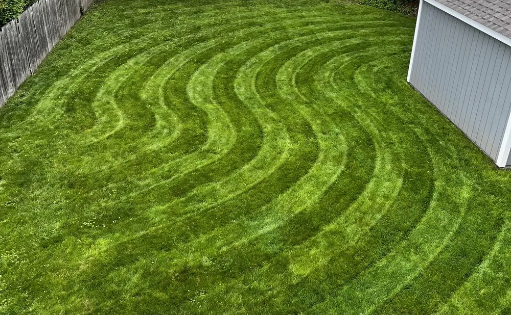 Custom yard maintenance experts serving Westfield, MA - Victory Lane Landscapes