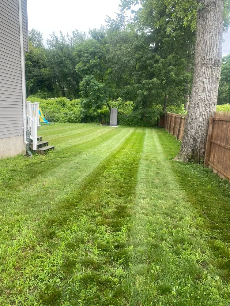 Top-rated lawn care service near you across Westfield, MA - Victory Lane Landscapes