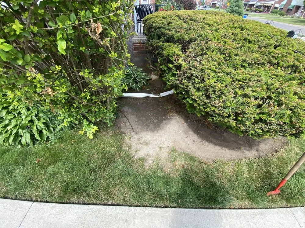 Affordable lawn care service experts serving Okemos, MI - Victory Lap Services