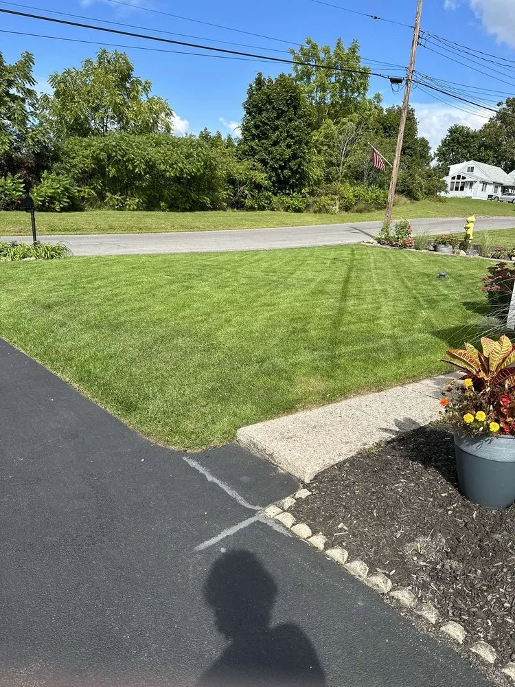 Expert landscaping services for beautiful yards across Westvale, NY - Victory Lawn Care