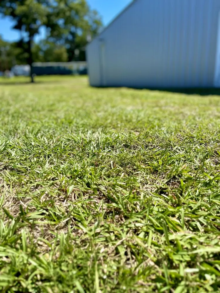 Expert landscape installation for homes in Lufkin, TX by Victory Lawn