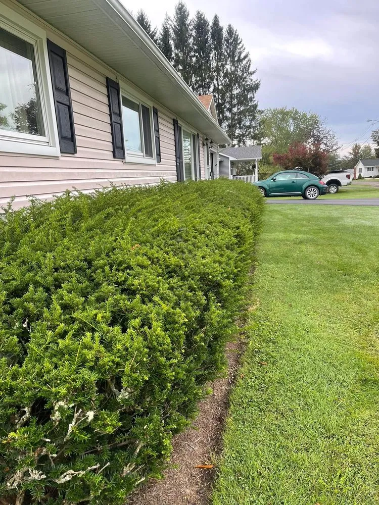 Affordable landscaping services in Montrose, PA by Victory Lawn Service