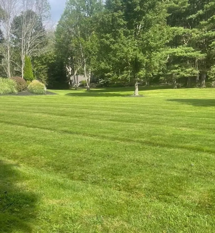 Top-rated landscaping services with custom design in Montrose, PA by Victory Lawn Service