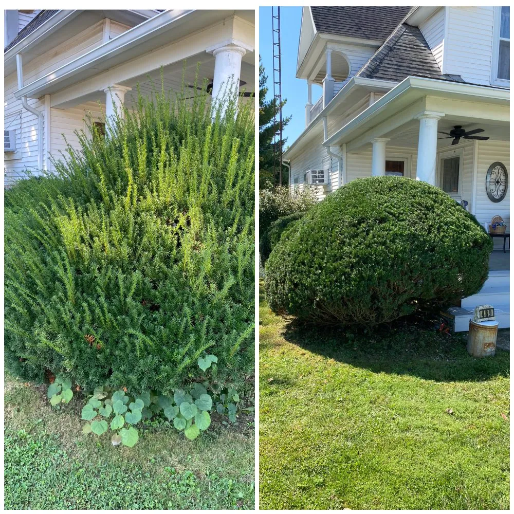 Affordable lawn care service experts serving ODON, IN - Victory Lawns