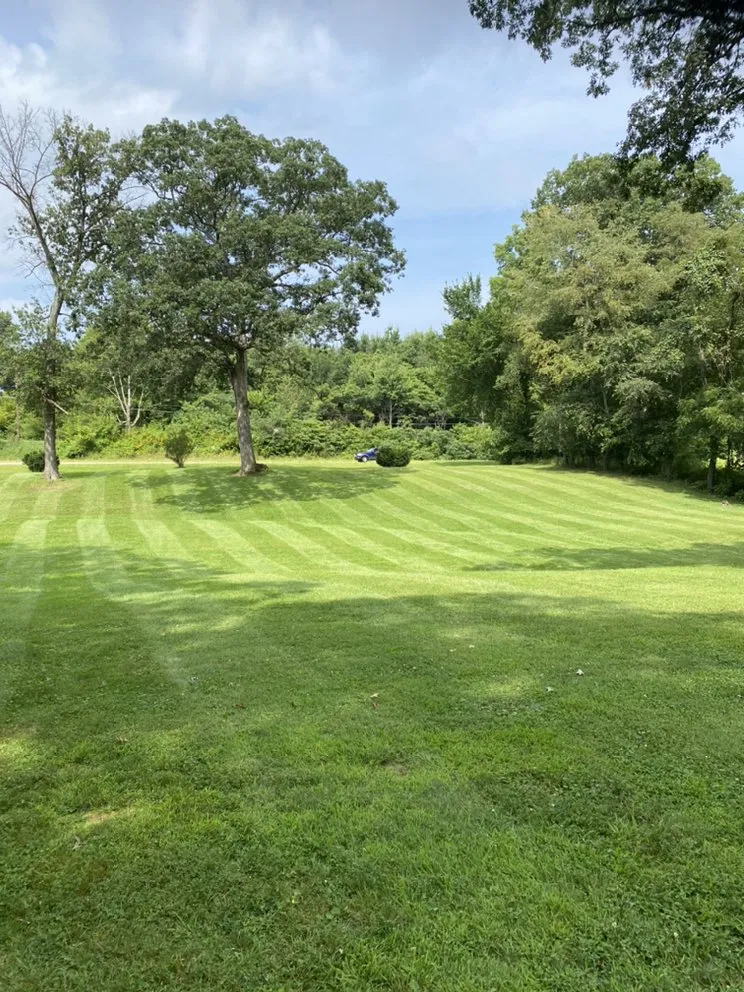 Custom yard maintenance in ODON, IN - Victory Lawns