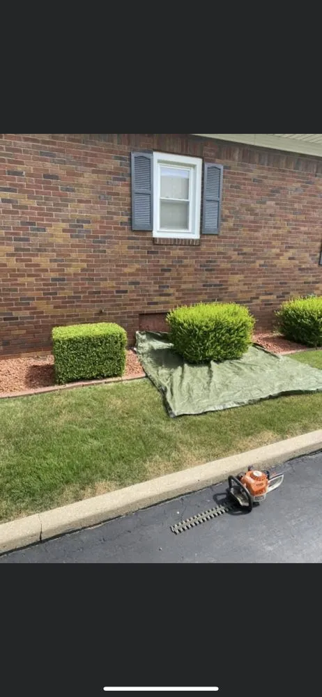 Reliable landscape design experts serving ODON, IN - Victory Lawns