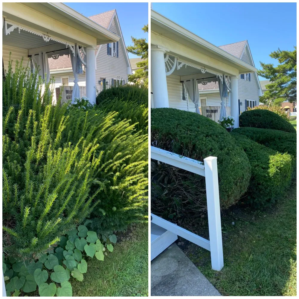 Reliable lawn mowing service experts serving ODON, IN - Victory Lawns