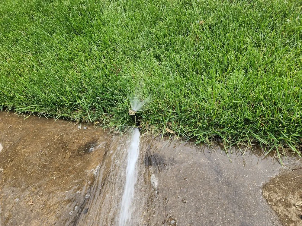 Affordable lawn care service in Shelby Township, MI - Victory Lawnscape