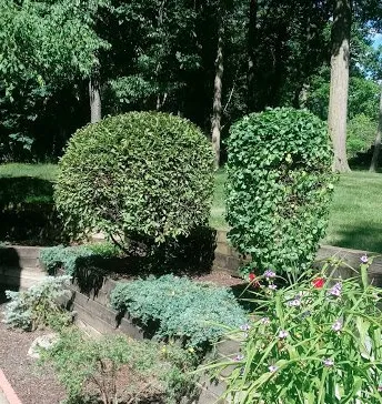 Expert lawn care service for beautiful yards across Shelby Township, MI - Victory Lawnscape