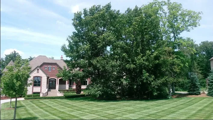 Expert garden landscaping for homes in Shelby Township, MI by Victory Lawnscape