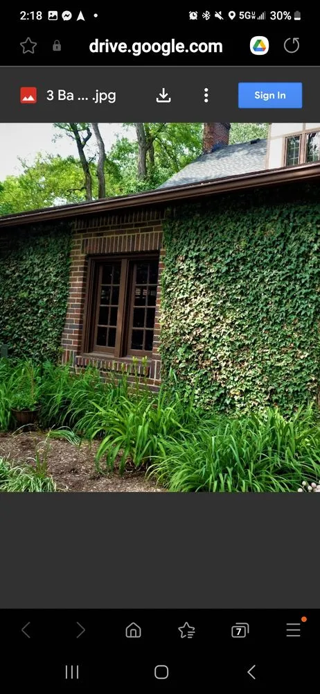 Professional landscape design experts serving Wadsworth, OH - Victory Mowing