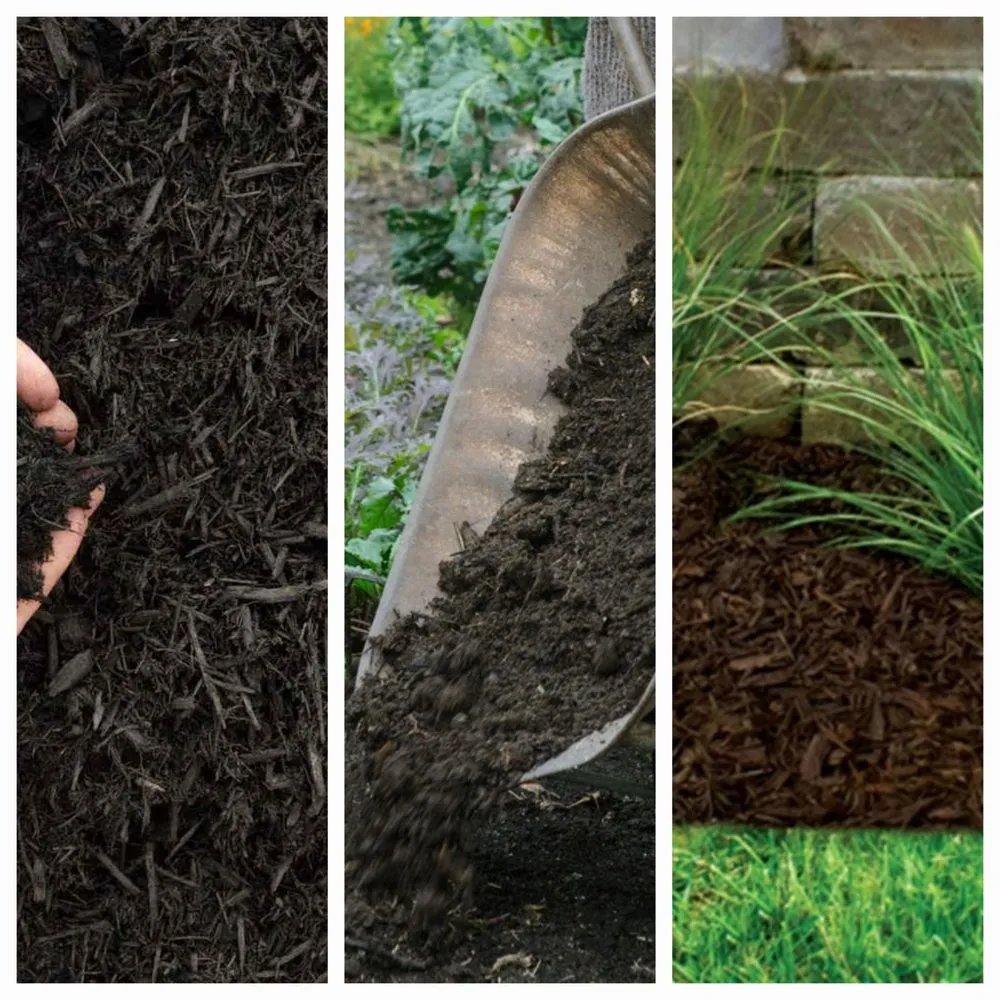 Reliable lawn care service in Wadsworth, OH by Victory Mowing