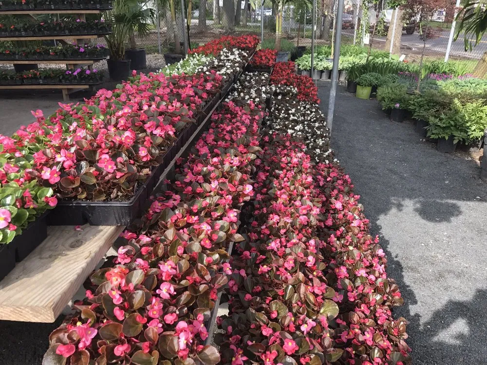 Professional landscape design in Staten Island, NY - Victory Nursery & Landscaping