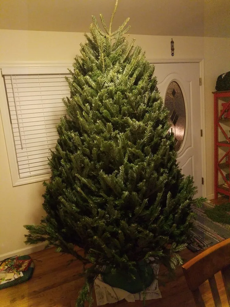 Local yard cleanup service in Staten Island, NY by Victory Nursery & Landscaping