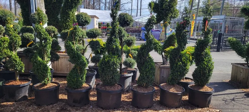 Top-rated landscape installation for year-round maintenance across Staten Island, NY - Victory Nursery & Landscaping