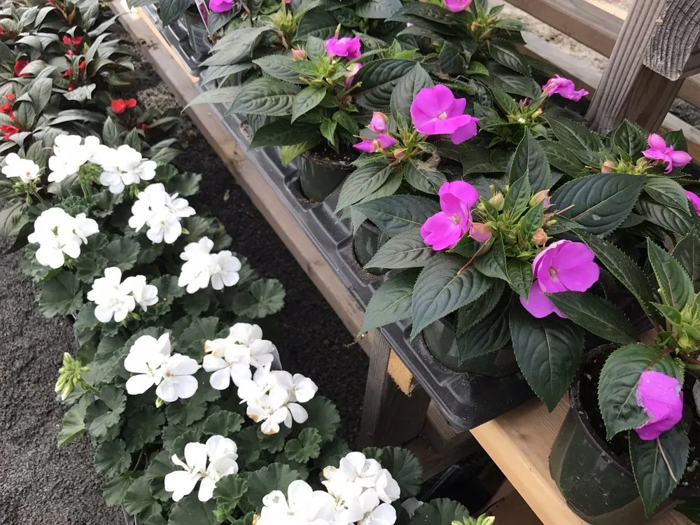 Trusted yard cleanup service in Staten Island, NY - Victory Nursery & Landscaping