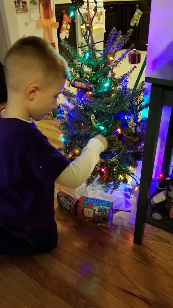 Affordable residential landscaping in Staten Island, NY by Victory Nursery & Landscaping