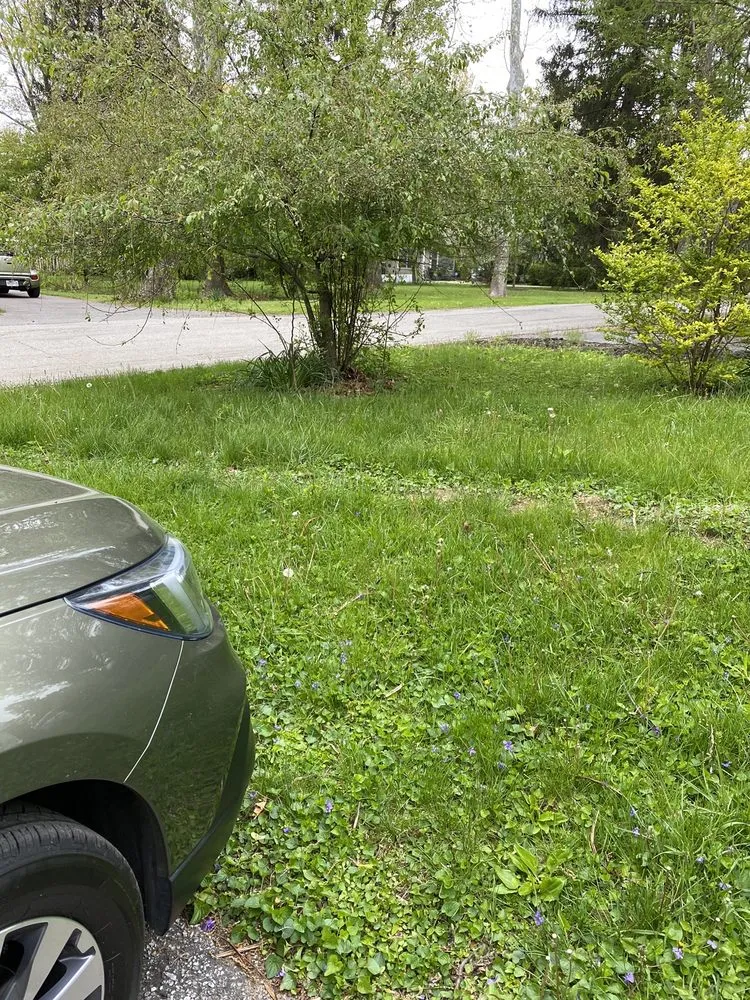 Professional garden landscaping in Hilliard, OH by Victory Outdoor Care