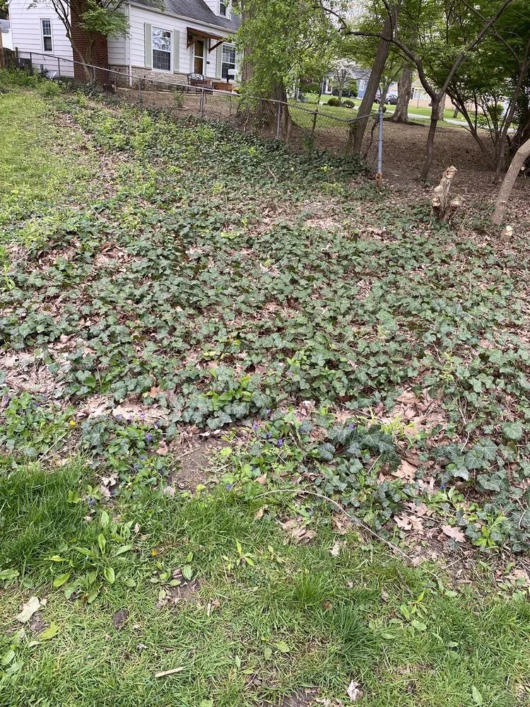 Affordable garden landscaping in Hilliard, OH by Victory Outdoor Care