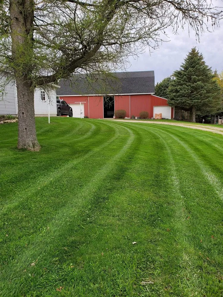 Expert yard cleanup service experts serving Edmore, MI - Victory Property Management