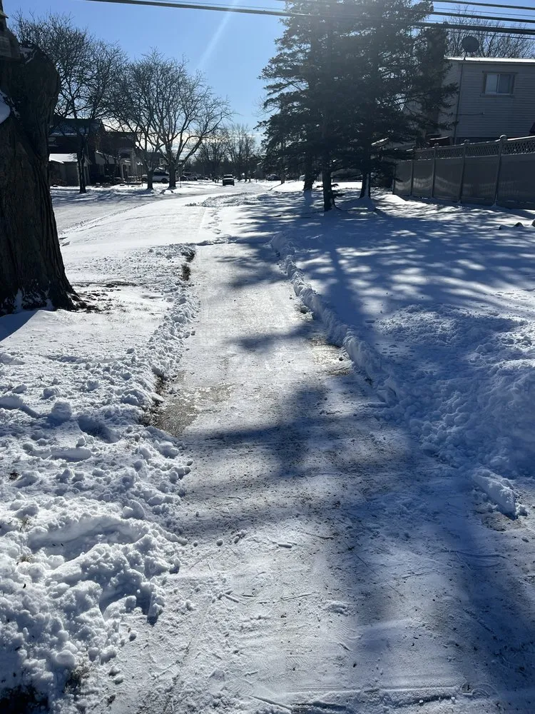 Expert yard cleanup service for beautiful yards in Romulus, MI by Victory Property Services