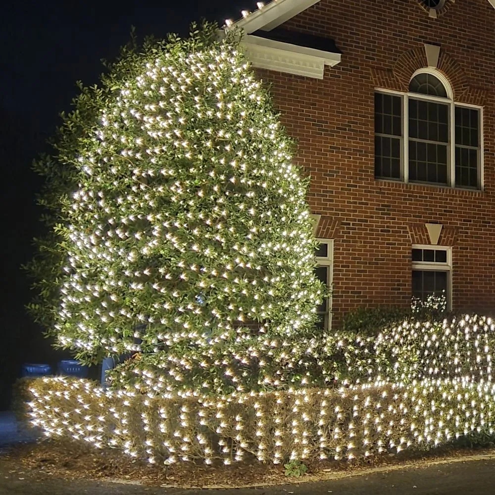 Professional residential landscaping experts serving Los Angeles, CA - Victory Scapes