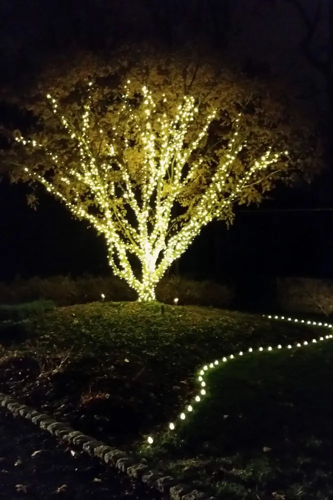 Professional yard cleanup service for outdoor upgrades across Los Angeles, CA - Victory Scapes