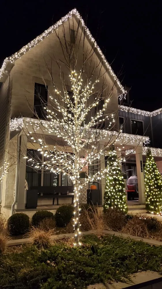 Expert yard maintenance in Los Angeles, CA by Victory Scapes