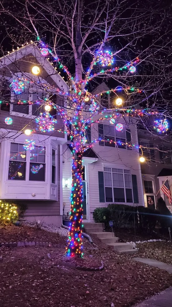 Affordable garden landscaping in Los Angeles, CA by Victory Scapes