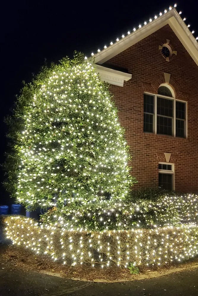 Local lawn mowing service for year-round maintenance across Los Angeles, CA - Victory Scapes