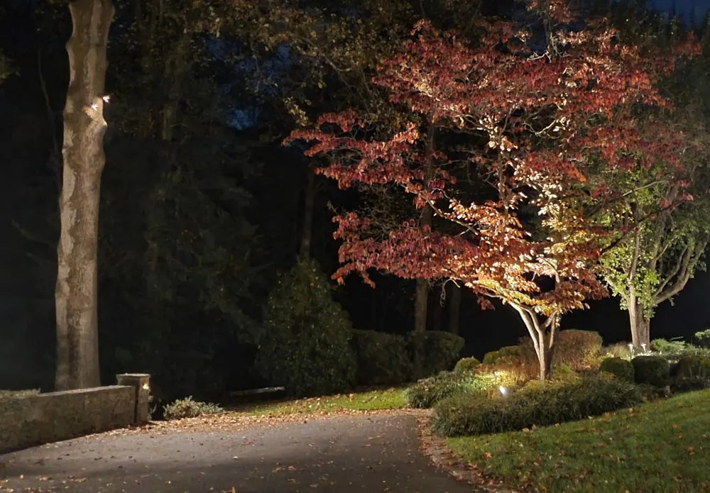 Professional lawn care service for beautiful yards across Reston, VA - Victory Scapes