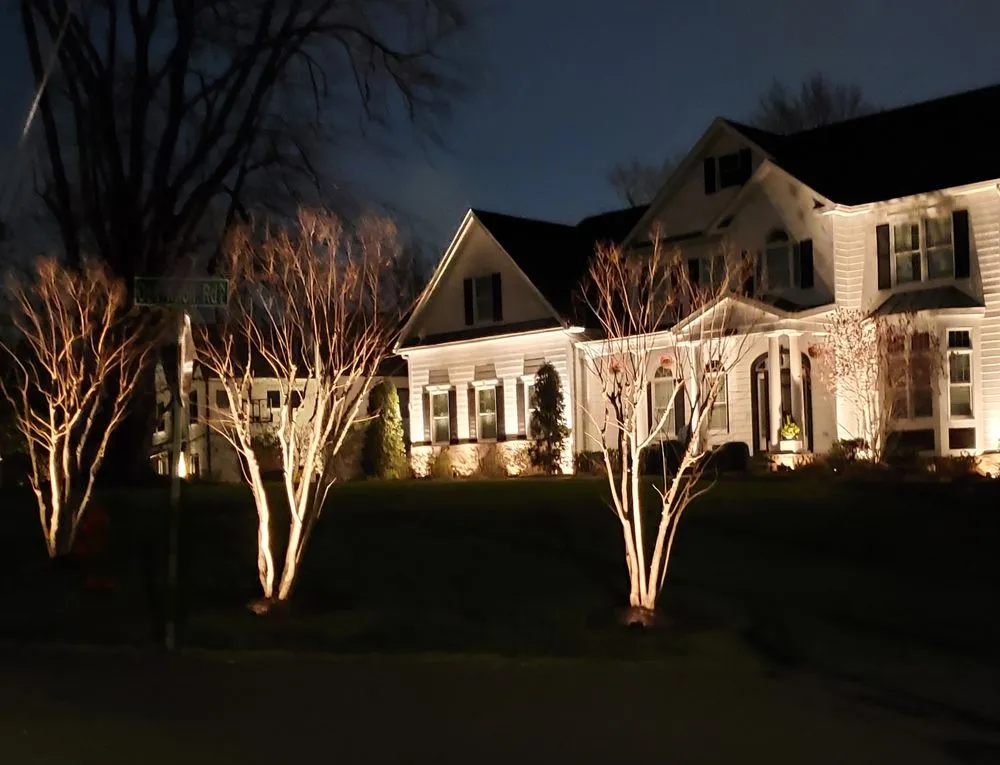 Expert yard cleanup service in Reston, VA - Victory Scapes