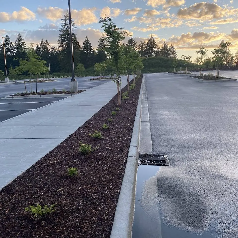 Top-rated yard cleanup service in Olympia, WA - Victory Valley Landscaping Design