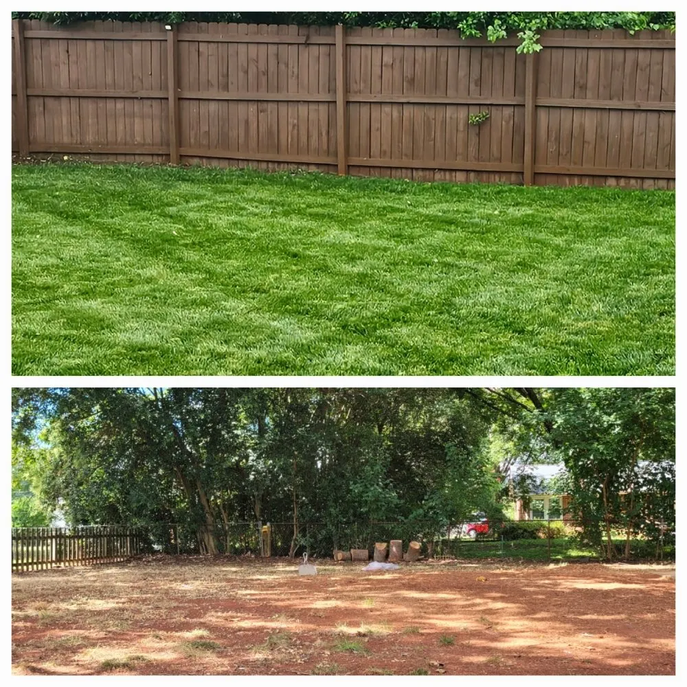 Local yard cleanup service experts serving York, SC - Vida Green Landscaping