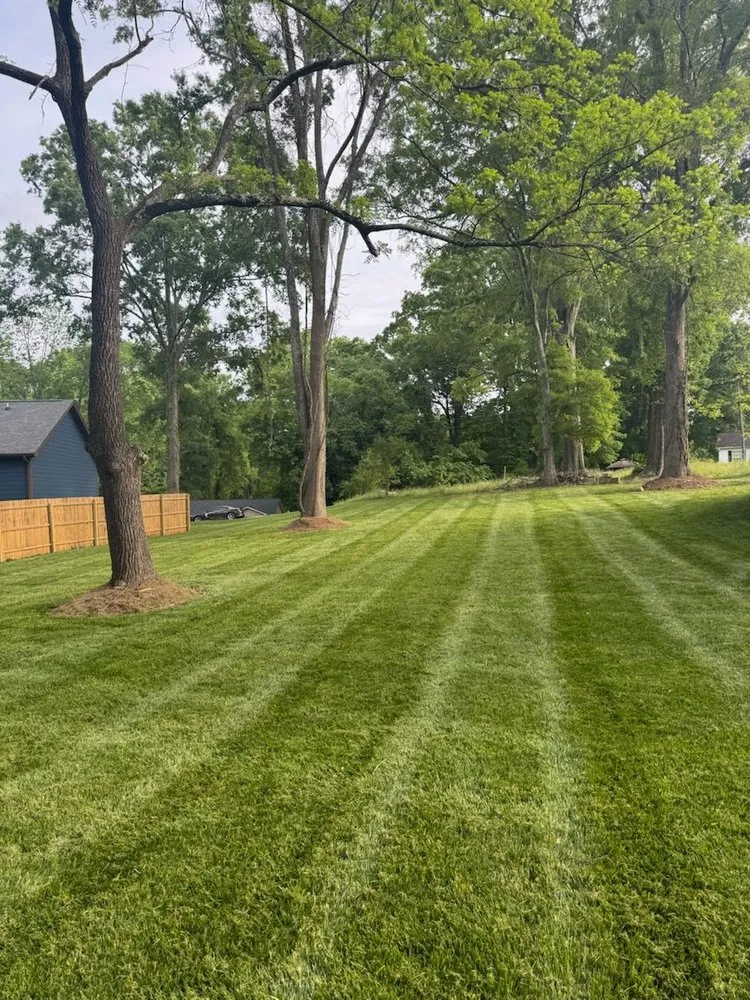 Affordable landscape installation in York, SC - Vida Green Landscaping