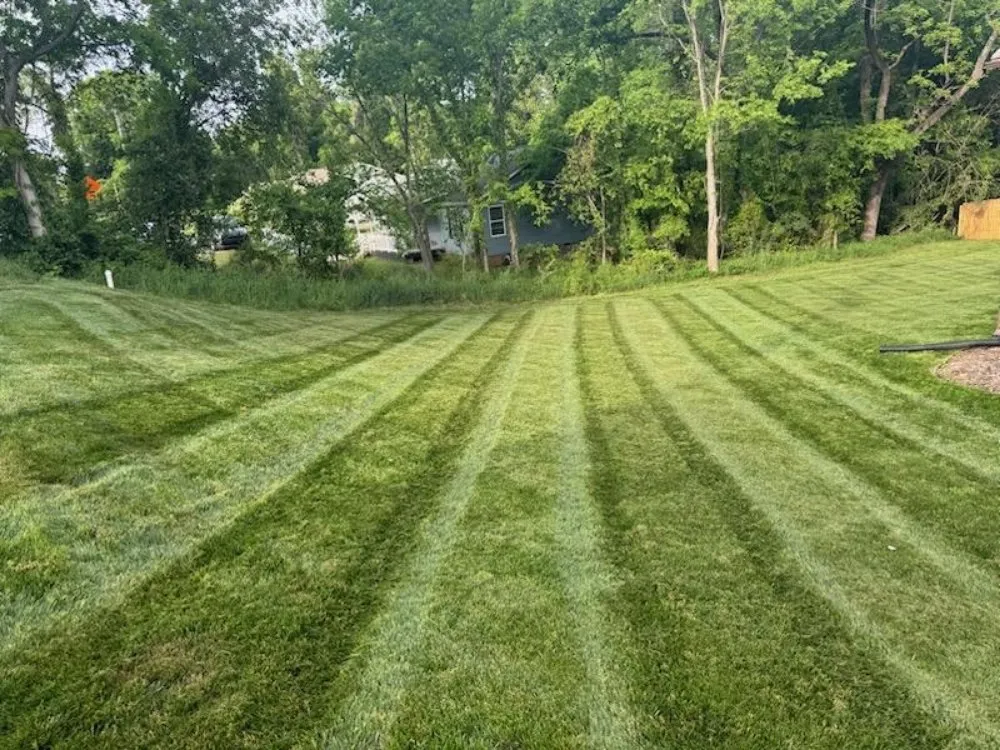 Expert yard cleanup service in York, SC - Vida Green Landscaping