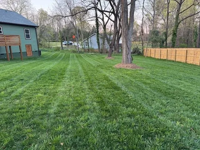 Local landscape installation in York, SC by Vida Green Landscaping