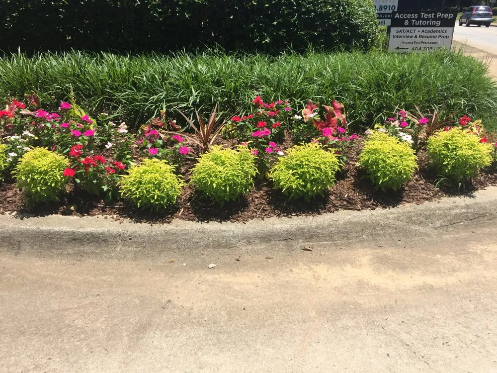 Reliable outdoor landscaping near you across Atlanta, GA - Vida Landscape