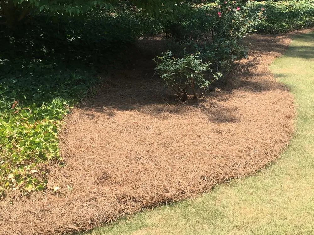 Reliable outdoor landscaping in Atlanta, GA by Vida Landscape