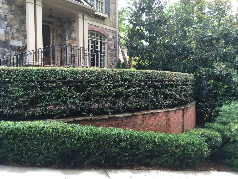 Trusted landscape design in Atlanta, GA - Vida Landscape