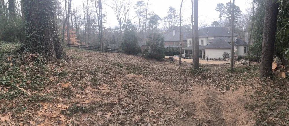 Reliable landscape design in Atlanta, GA - Vida Landscape