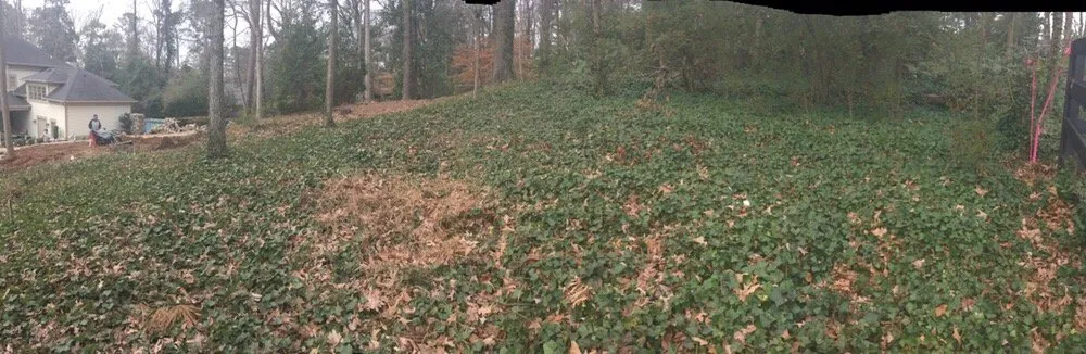 Trusted yard maintenance with custom design across Atlanta, GA - Vida Landscape